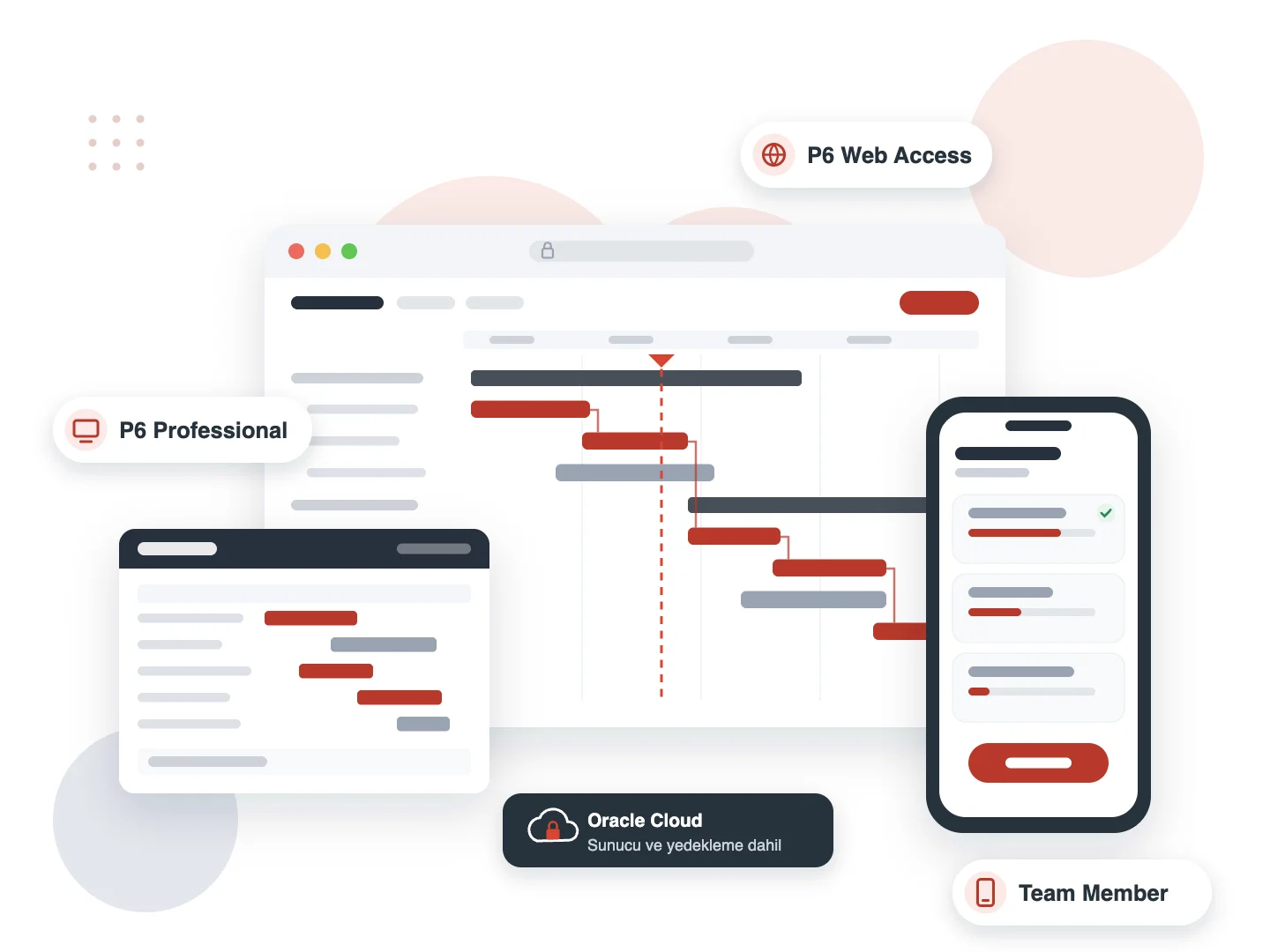 Primavera P6 EPPM Cloud: web, P6 Professional ve Team Member mobil erişimi
