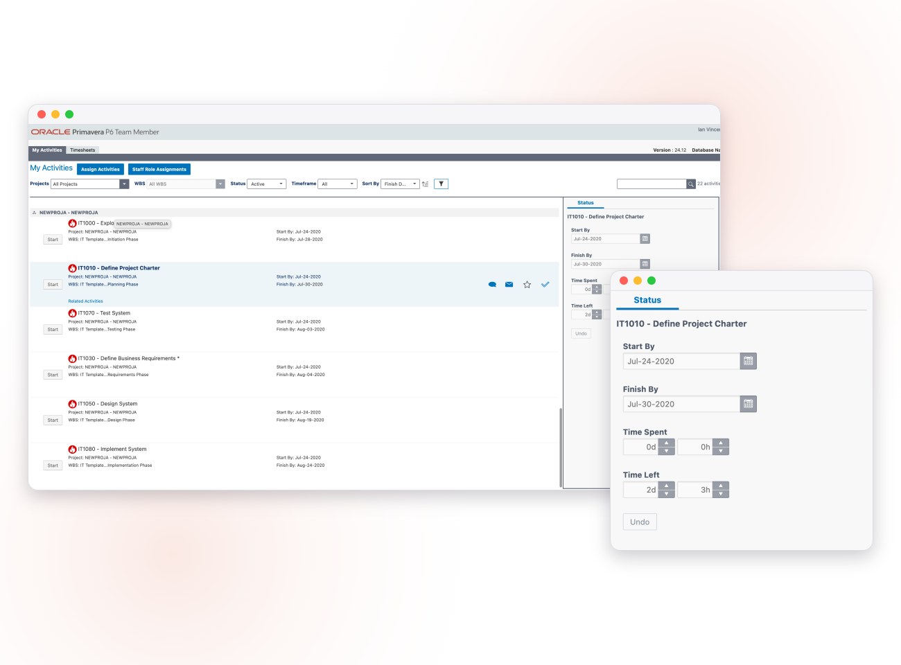 Primavera P6 Team Member web ve mobil ekranları